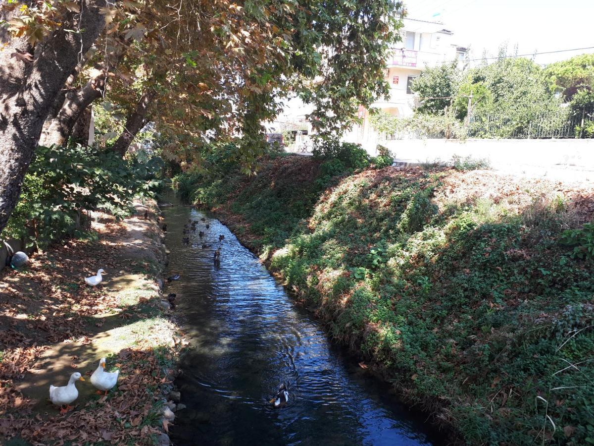 Samos Apart Pension グゼルカミル エクステリア 写真