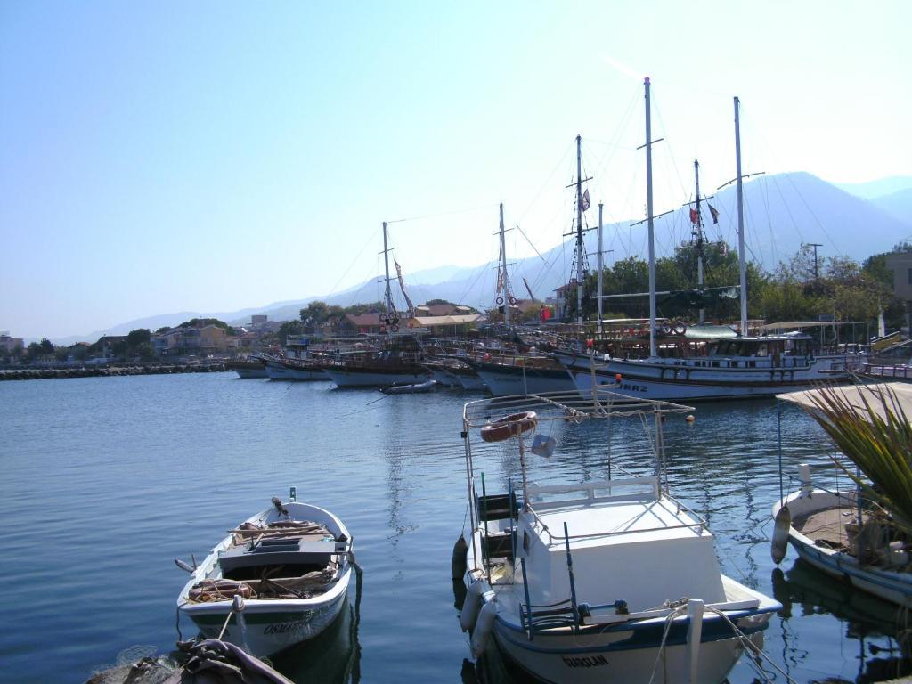 Samos Apart Pension グゼルカミル 部屋 写真