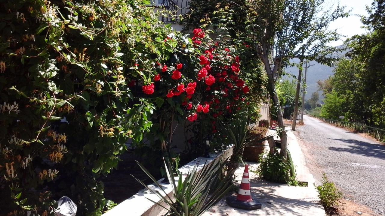 Samos Apart Pension グゼルカミル エクステリア 写真